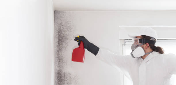 Best Mold Testing  in Conover, NC